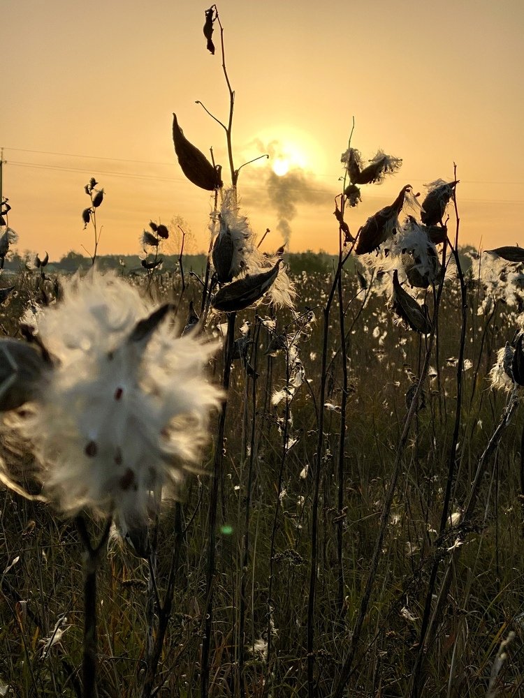 Photograph by Юлия Сергиенко