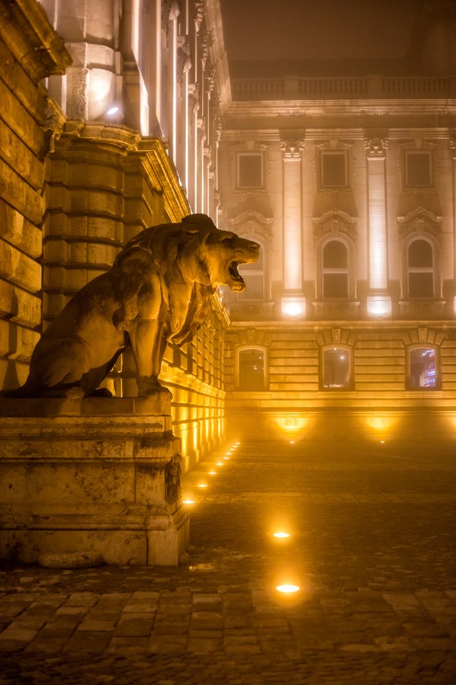 Photograph by Olia Kovryhina (Kudrina)