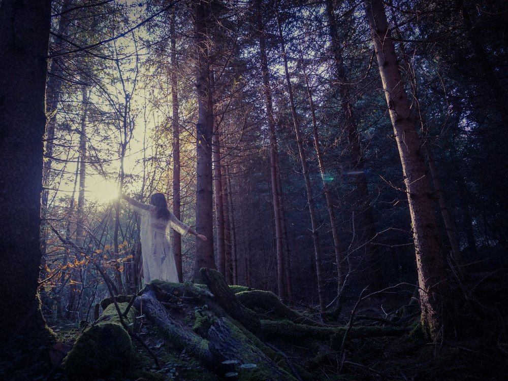 Photograph by Amanda Waldeck