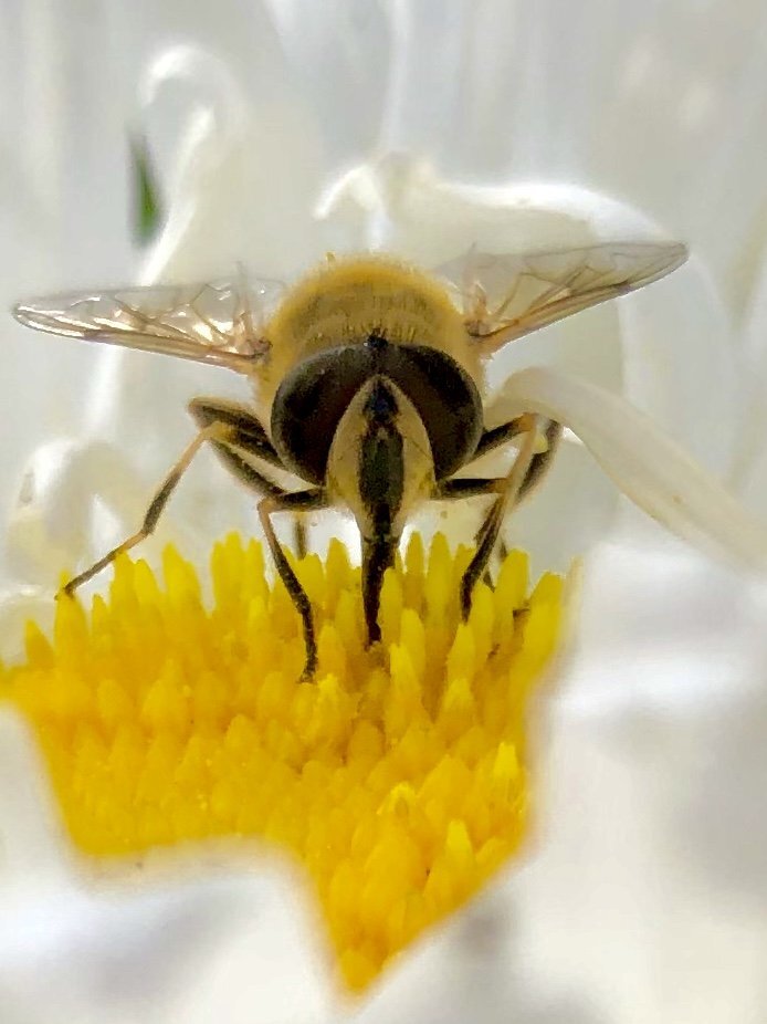 Photograph by Юлия Сергиенко