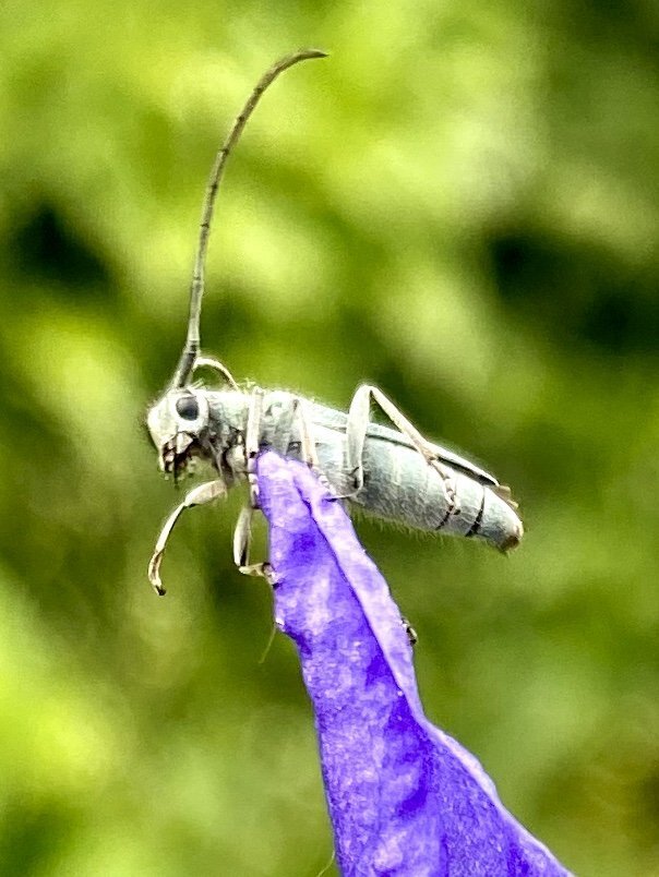 Photograph by Юлия Сергиенко