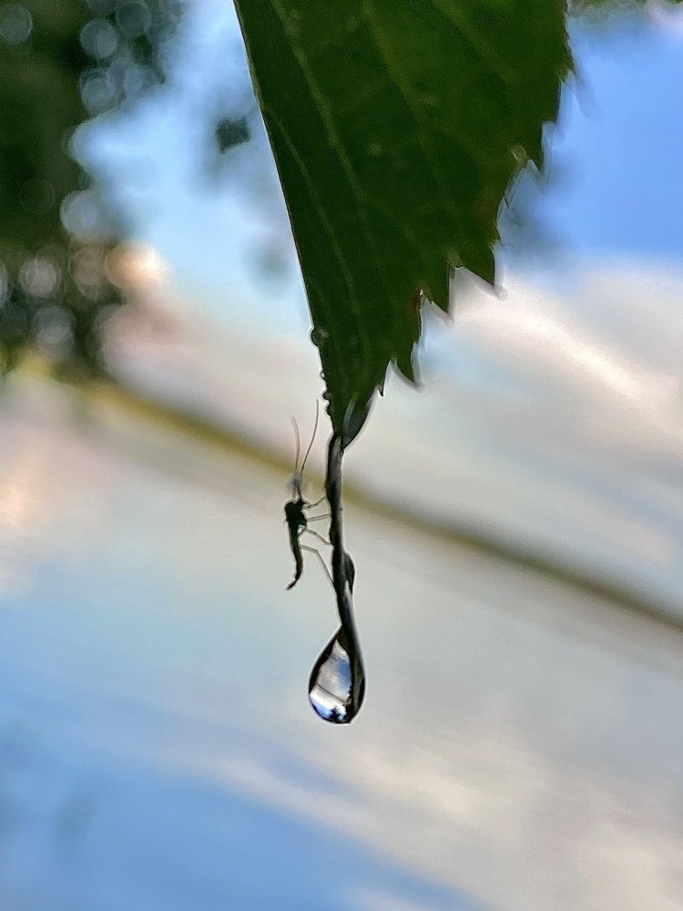 Photograph by Юлия Сергиенко