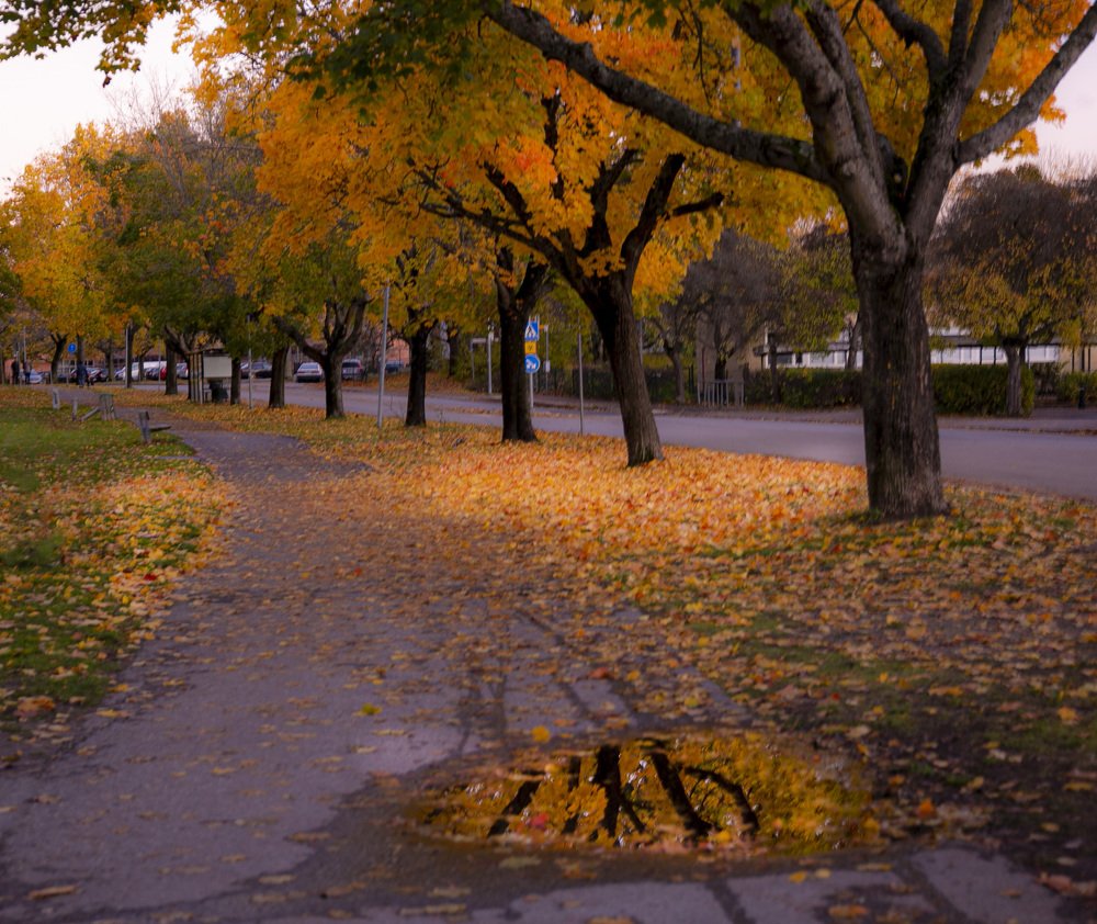 Photograph by Liudmila Drake