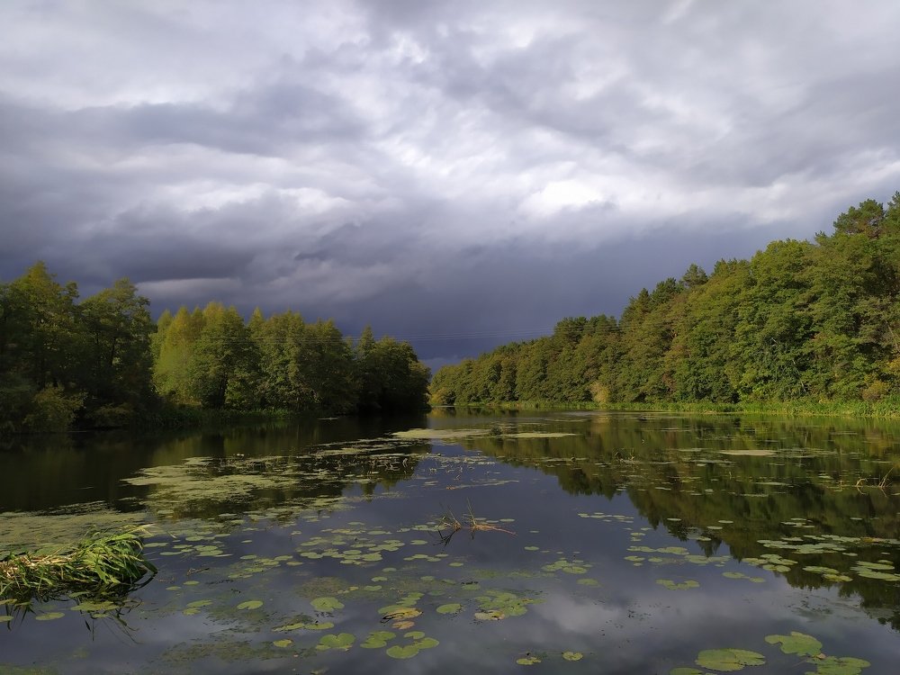 Занепогодилось