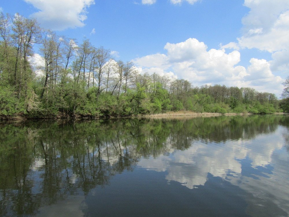 Photograph by Лидия Дорошина