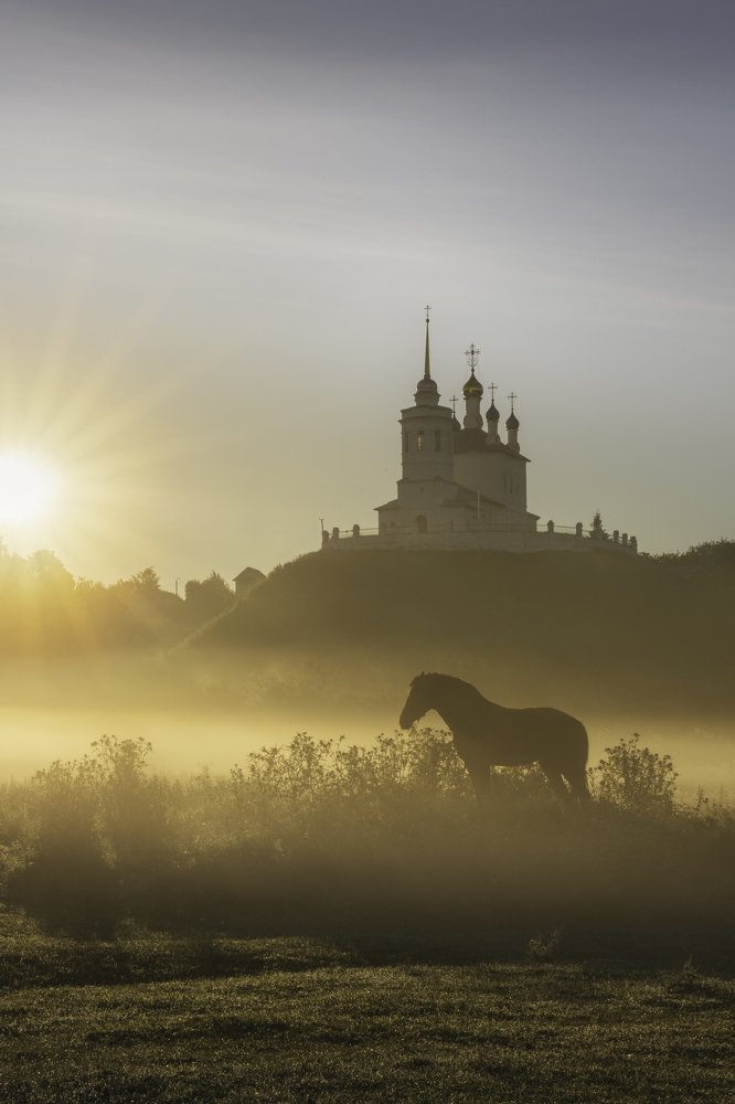 В утреннем тумане