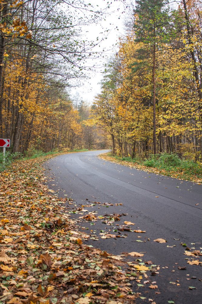 Дорога в зиму