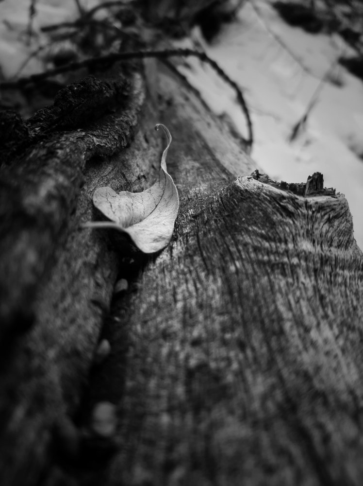 Photograph by Дамир Батряков