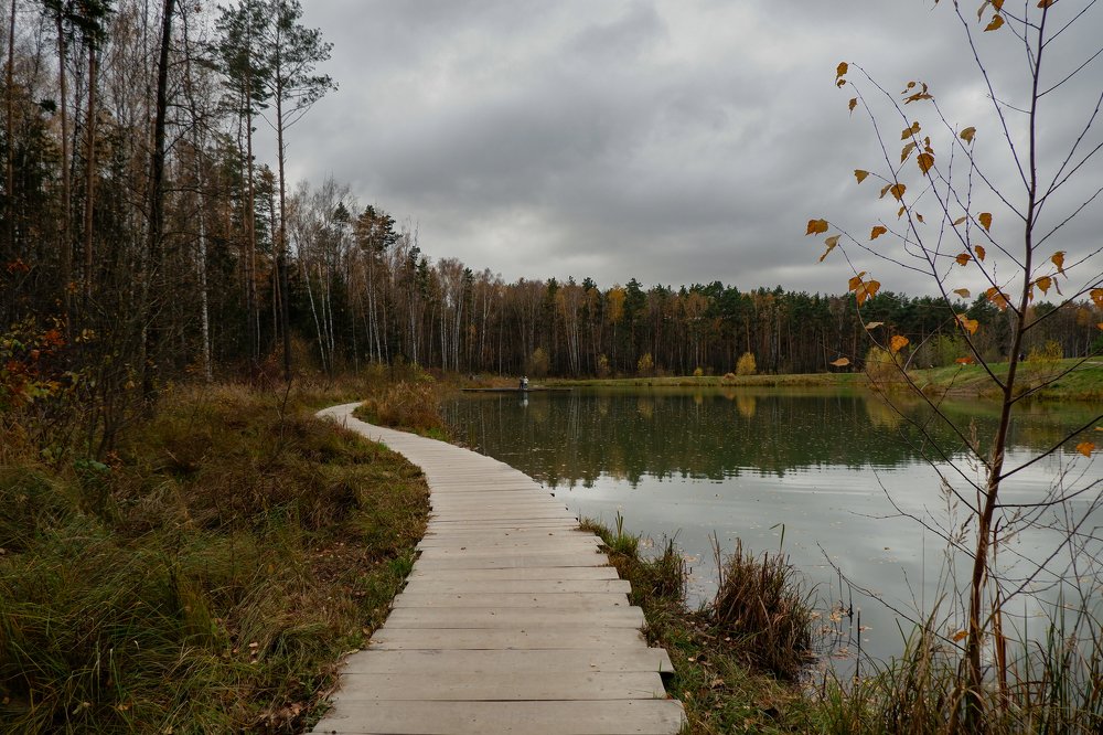 Photograph by Дарья Дрыночкина