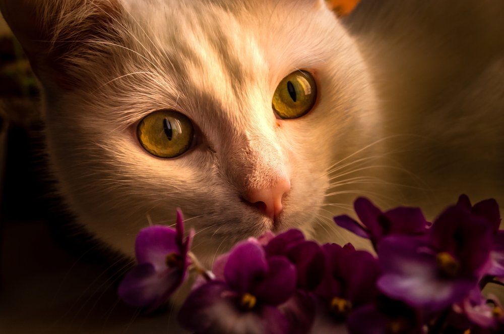 Photograph by Никита Богомолов