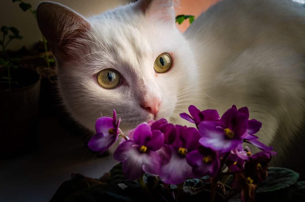 Photograph by Никита Богомолов