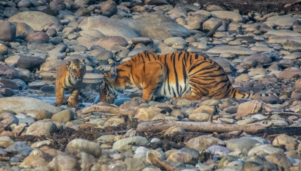 Photograph by Pramathesh Saha