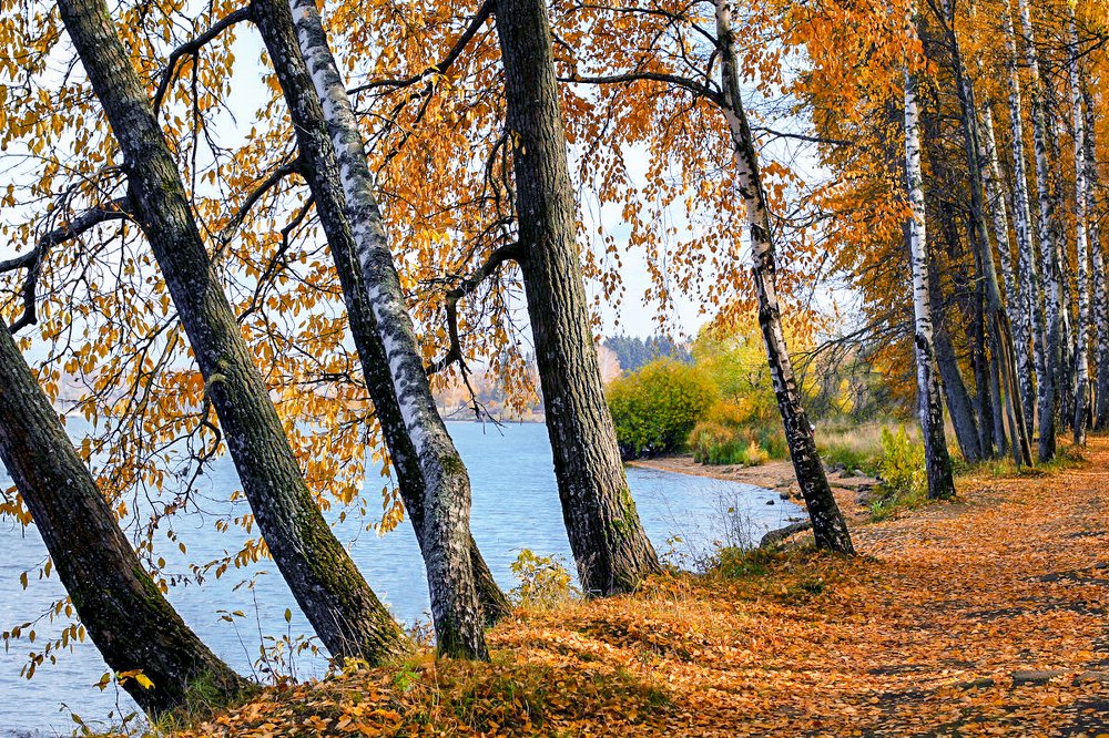 Photograph by Елена Гусева