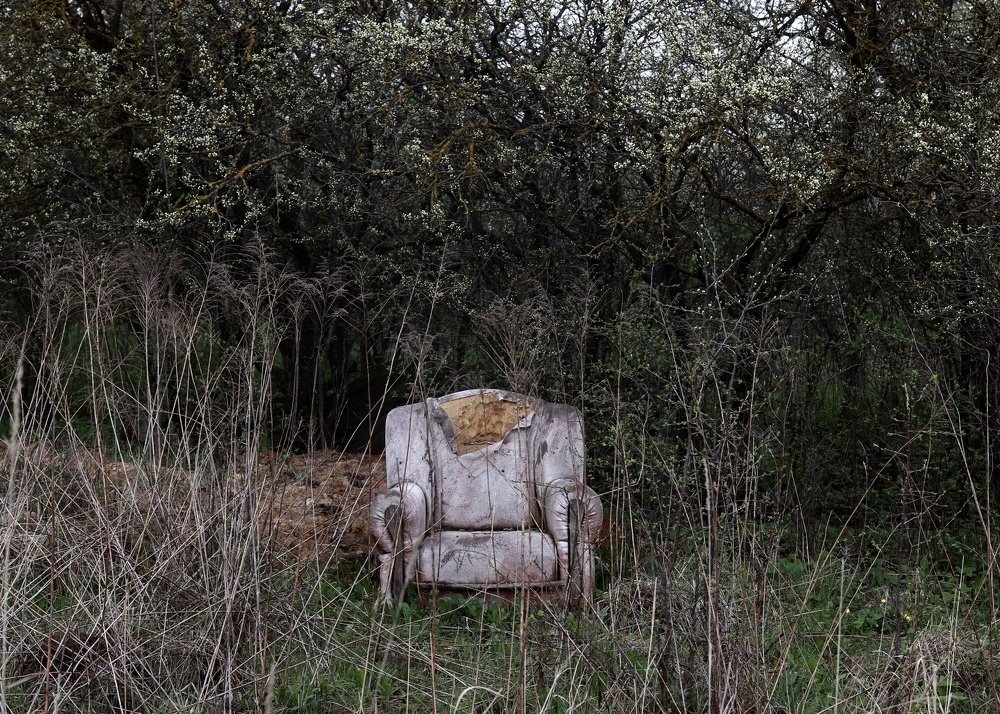 Photograph by Евгения Гудкова