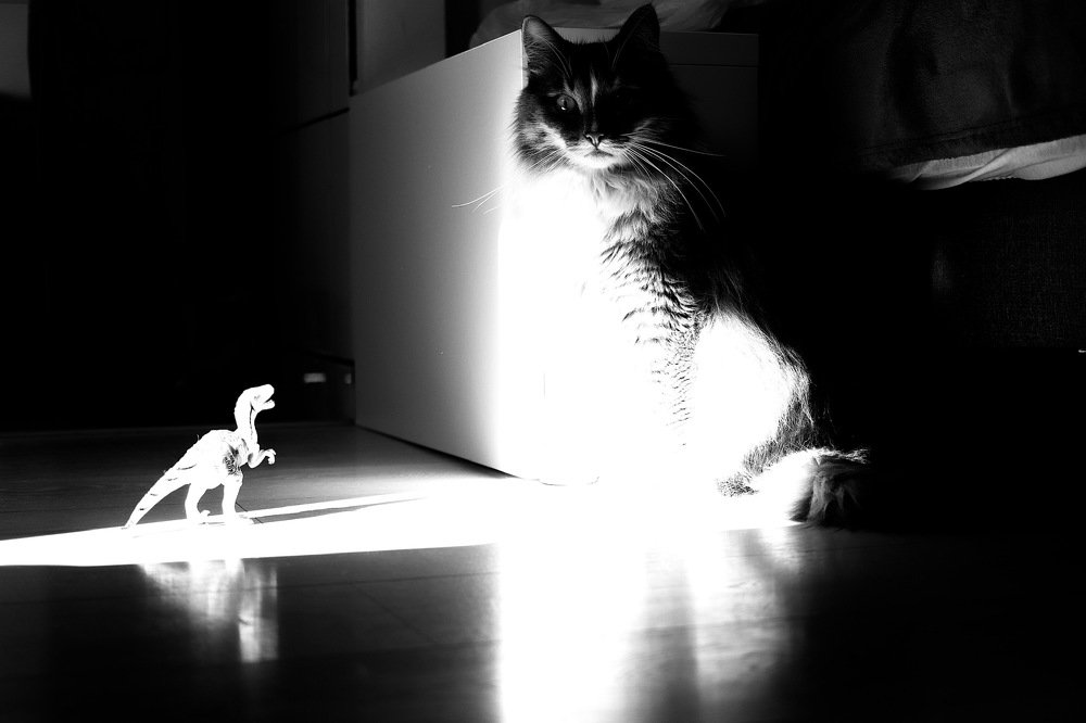 Photograph by Евгения Гудкова