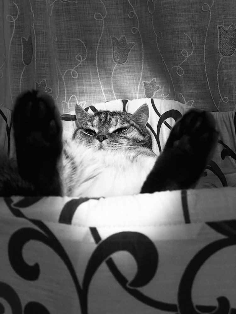 Photograph by Юлия Сергиенко
