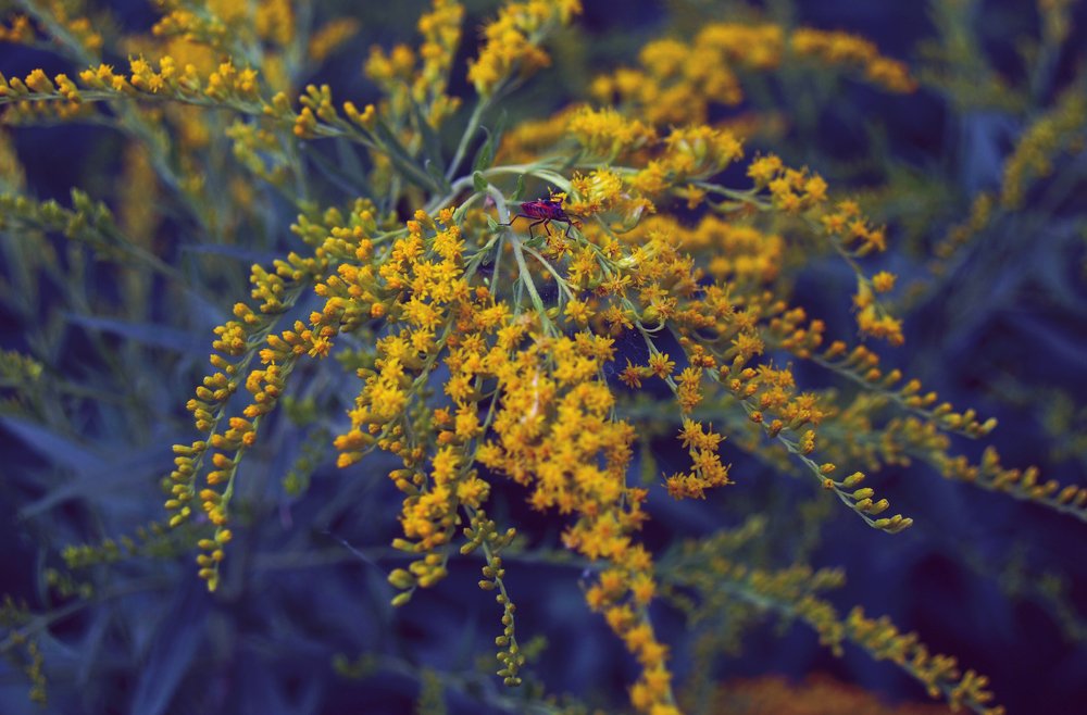 Photograph by Tatevik Tananyan