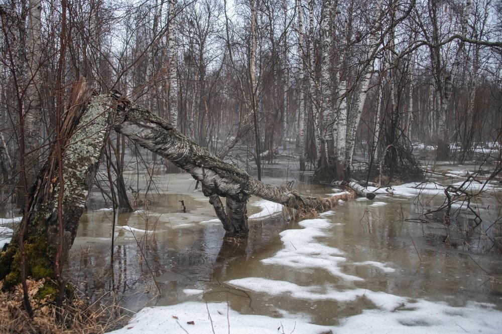 Photograph by Danil Husainov