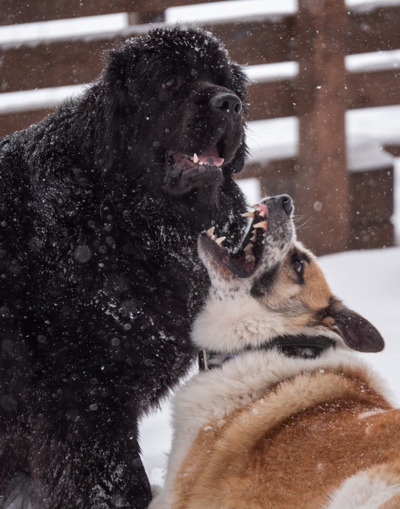 Photograph by Вячеслав Криволуцкий