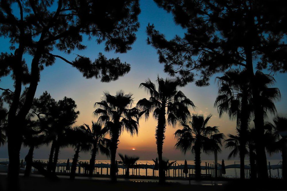 Photograph by Ирина Горюкина