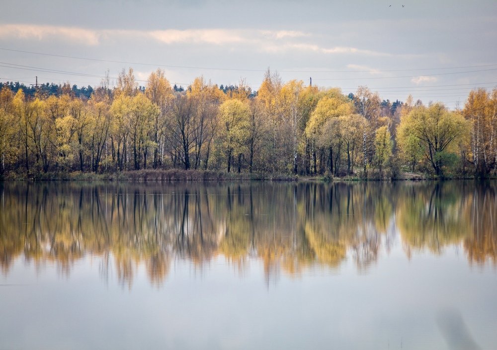 Photograph by Сергей Фаренюк