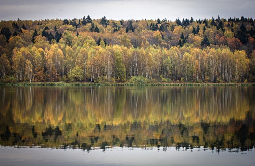 Photograph by Сергей Фаренюк