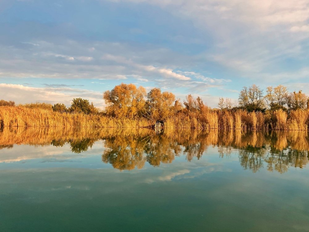 Photograph by Алексей Поляков