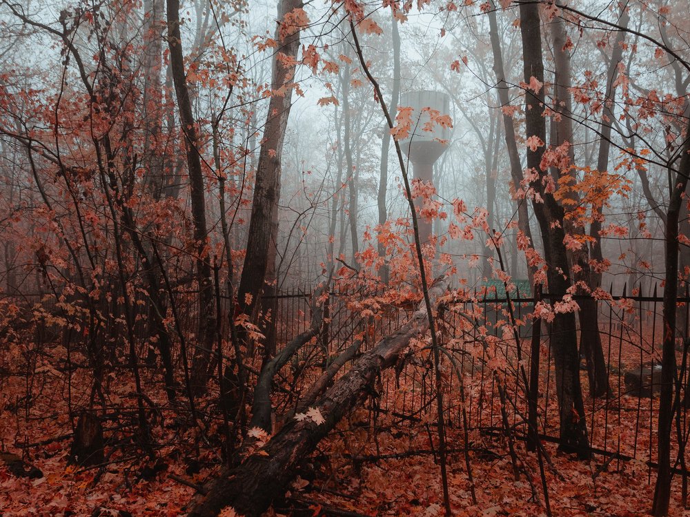 Photograph by Александр Битюков