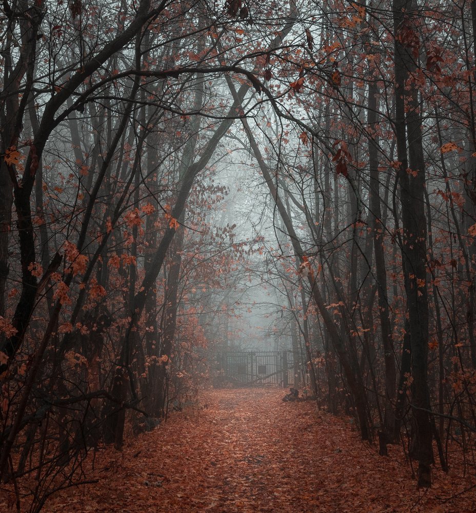 Photograph by Александр Битюков