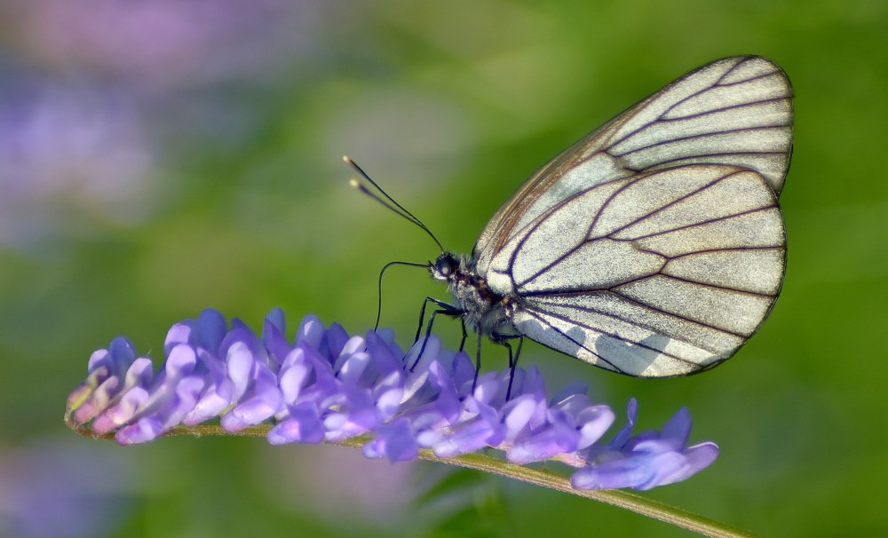Photograph by Александр Кочуркин