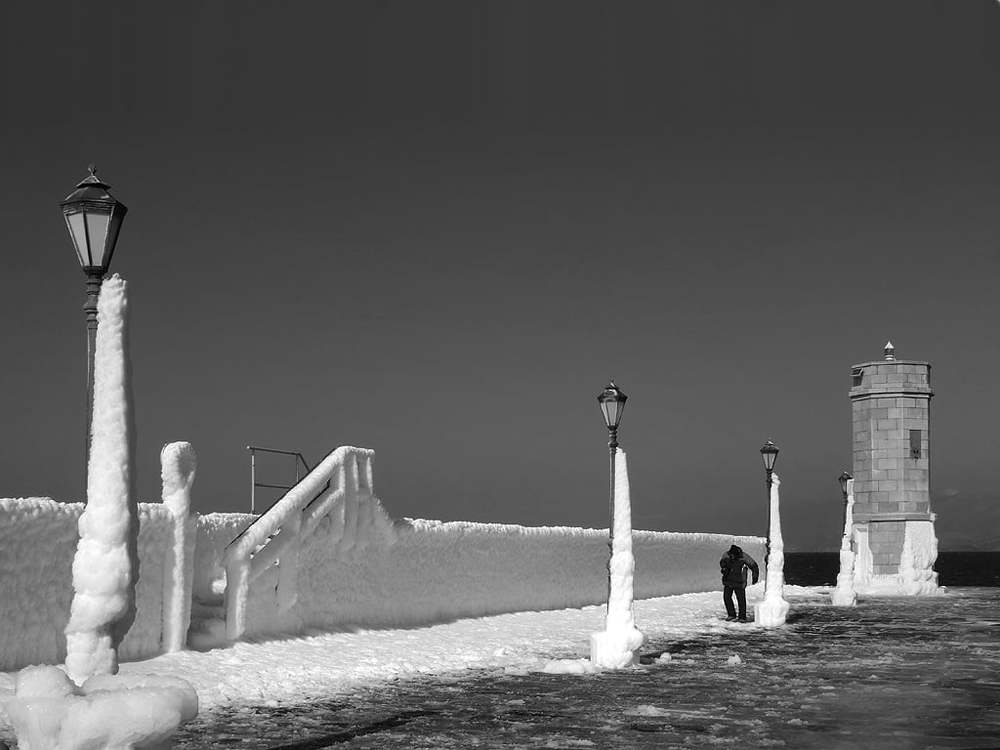 Photograph by Željko Plašč