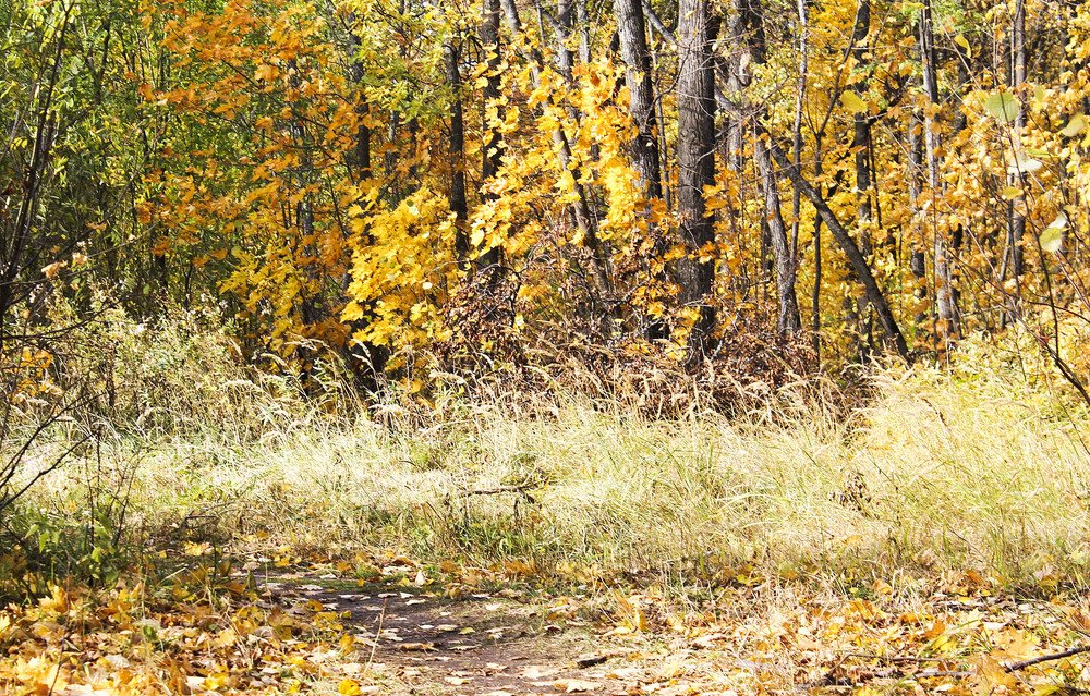 Photograph by Нинель Некрасова