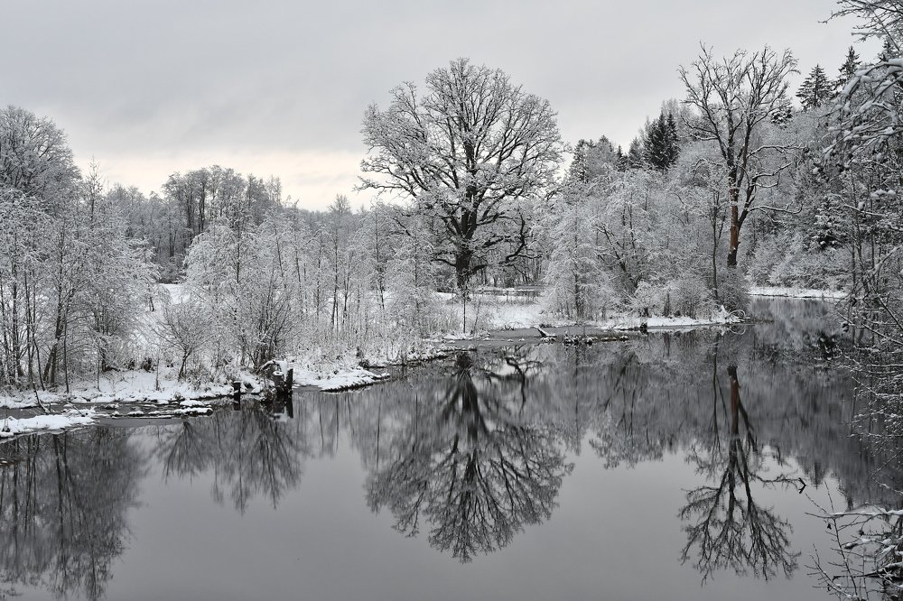 Отражение зимы
