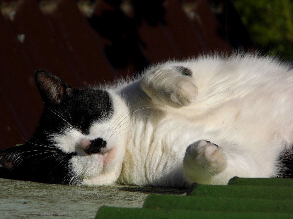 Photograph by Елена Грошева