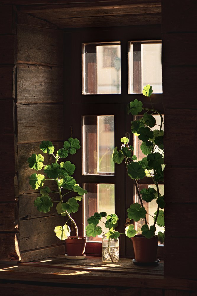 Ловцы солнца