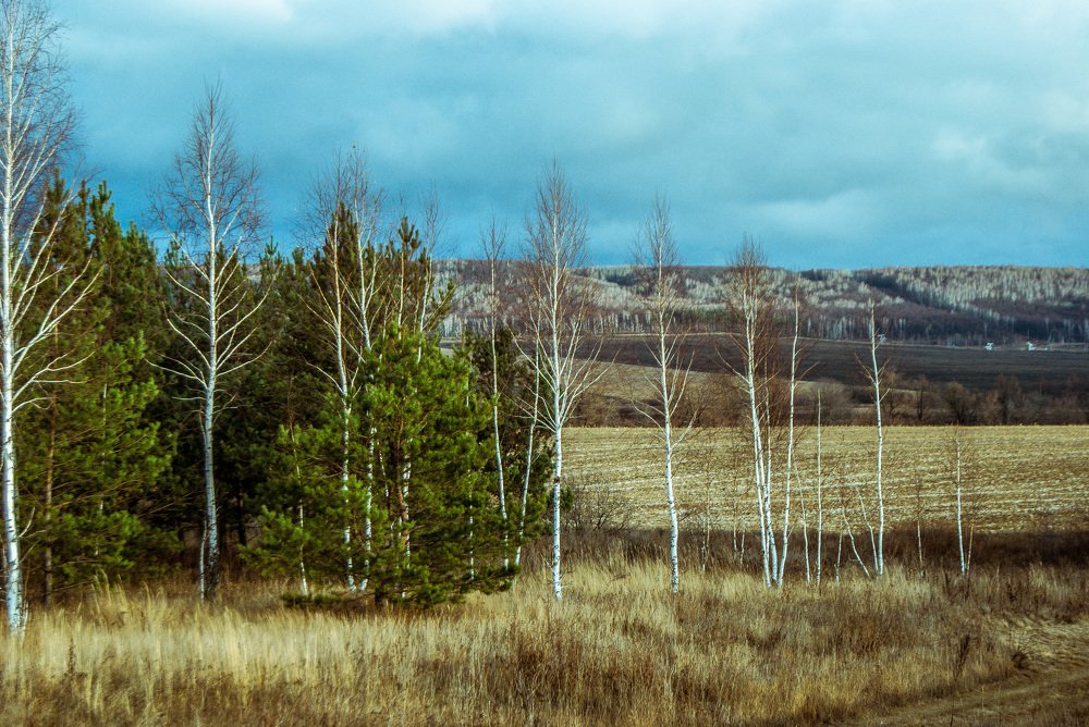 Photograph by Денис Геранькин