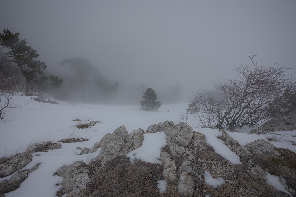 Ай Петри в тумане