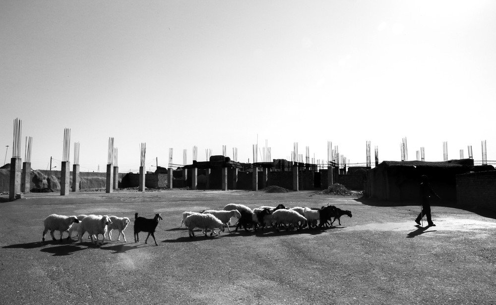 Photograph by kimiya Rastgou Moghadam