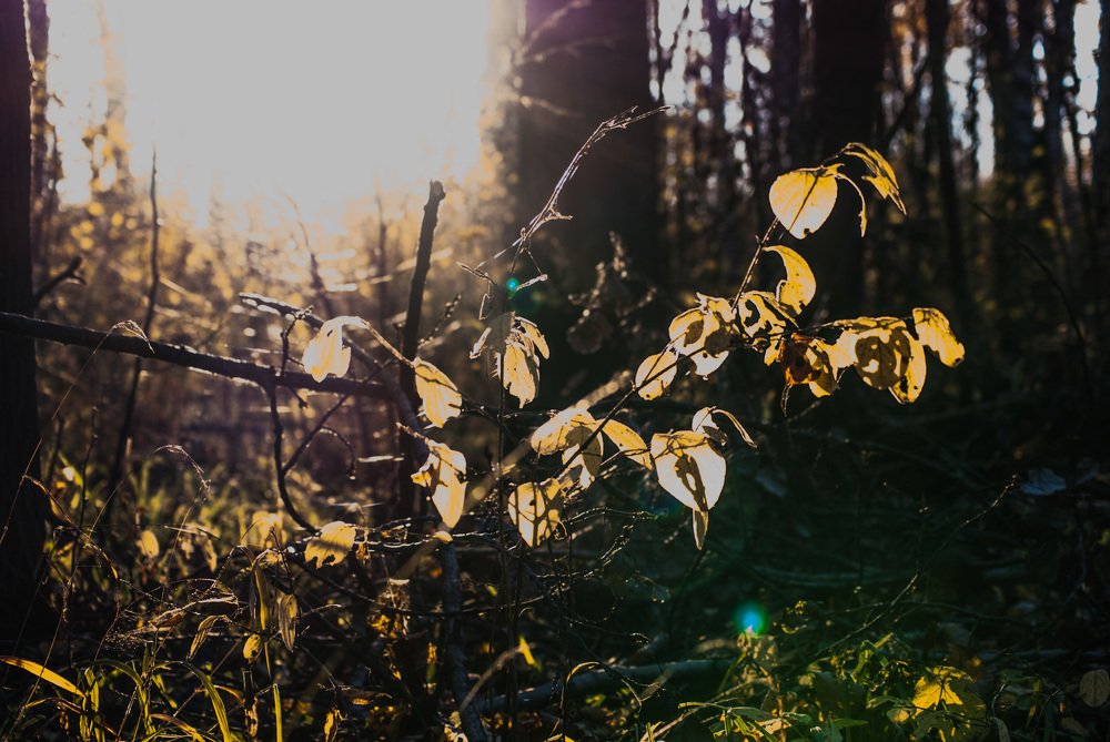 Photograph by Денис Геранькин