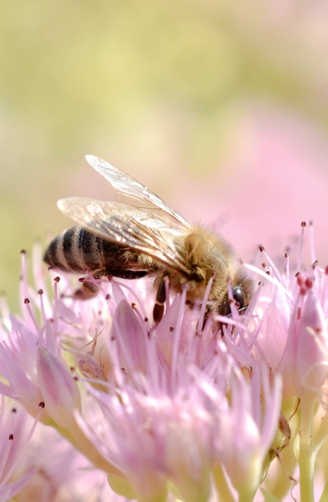 Photograph by Natasa Brkic