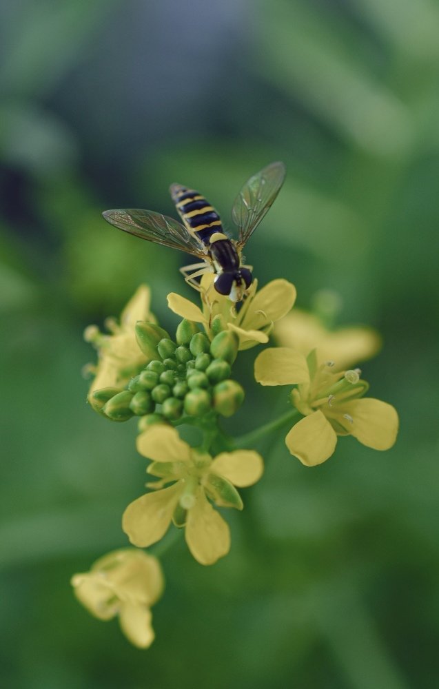 Photograph by Natasa Brkic