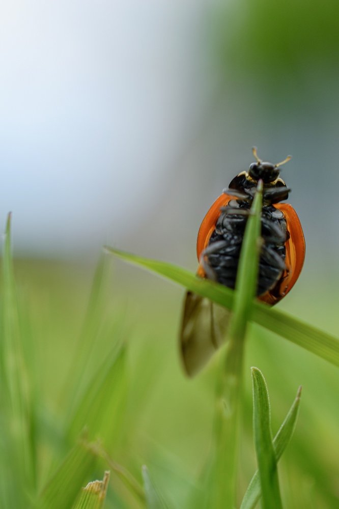 Photograph by Natasa Brkic