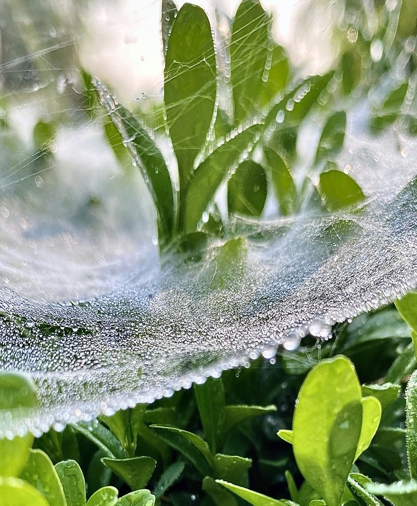 Photograph by Юлия Сергиенко