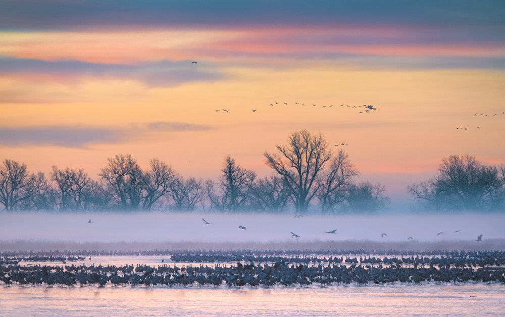 Photograph by  HITTHEROAD