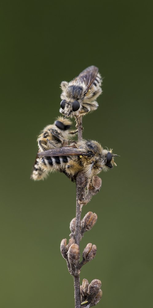 Photograph by Игорь ФУММ