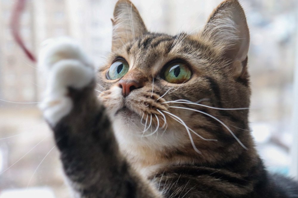 Photograph by Светлана Лебедева