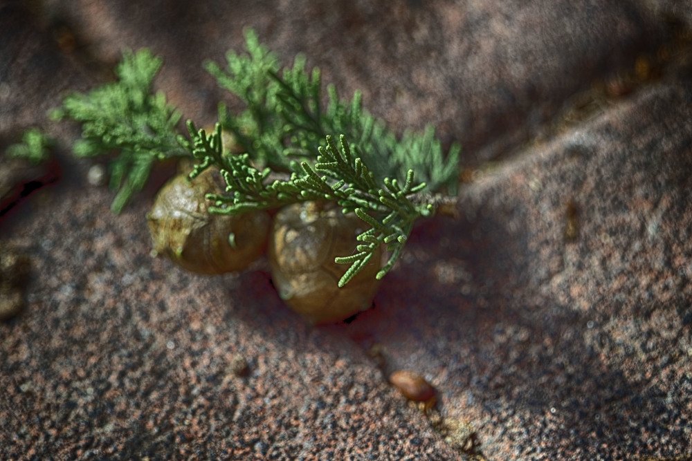 Photograph by Владимир Бутов