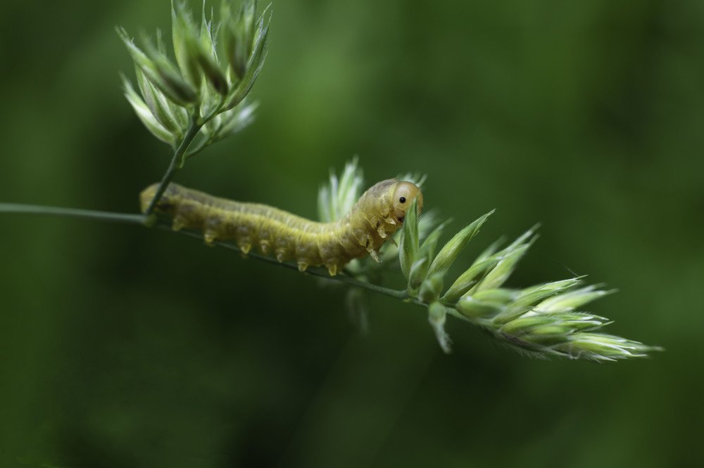 Скоро полечу!