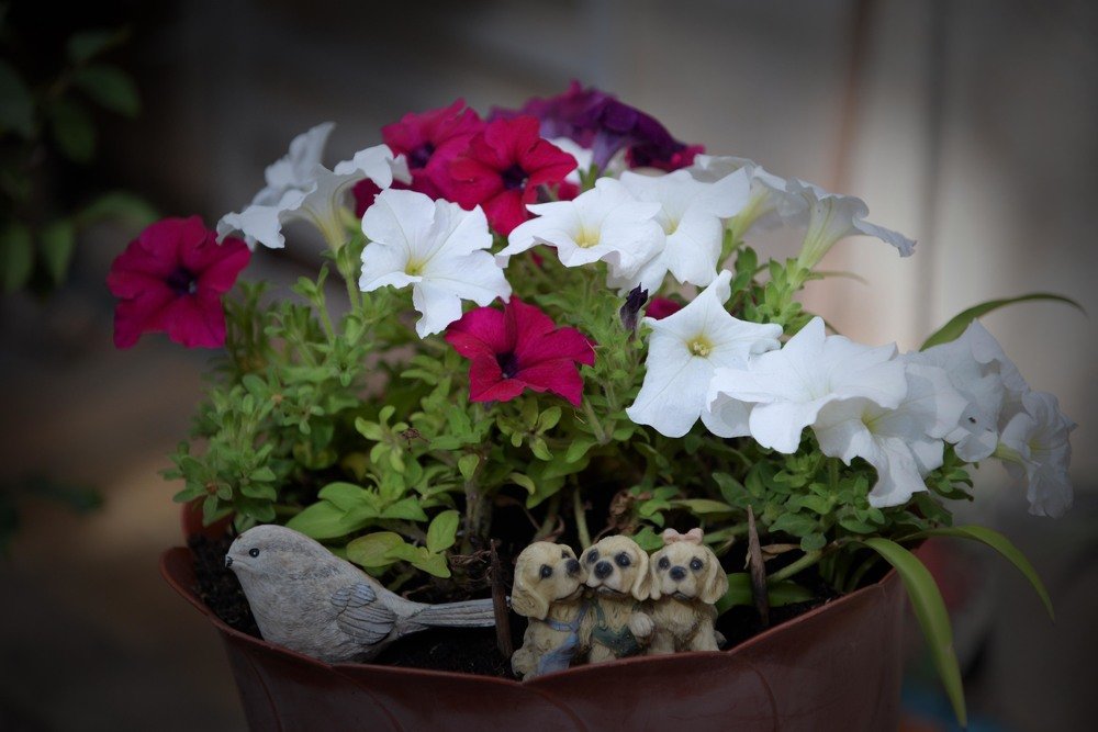 Photograph by Владимир Бутов