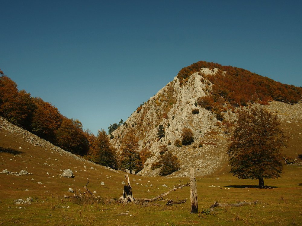 Photograph by Irina Magdalena Bivolaru